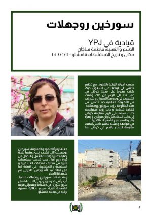 photo_2025-05-03_09-23-52